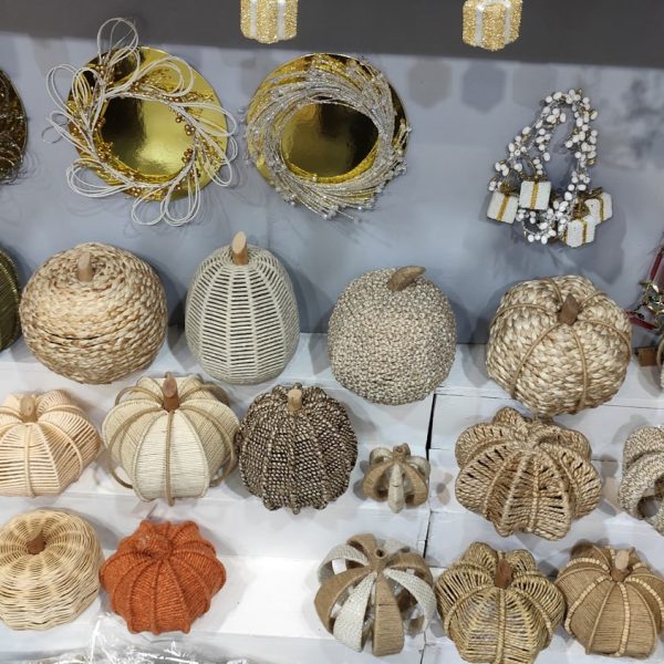 IMG-20241104-WA0026-min